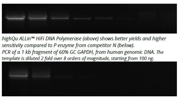 ALLin™ HiFi DNA Polymerase 