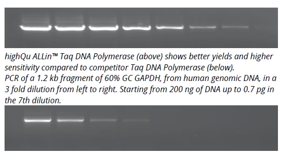 ALLin™ Taq DNA Polymerase