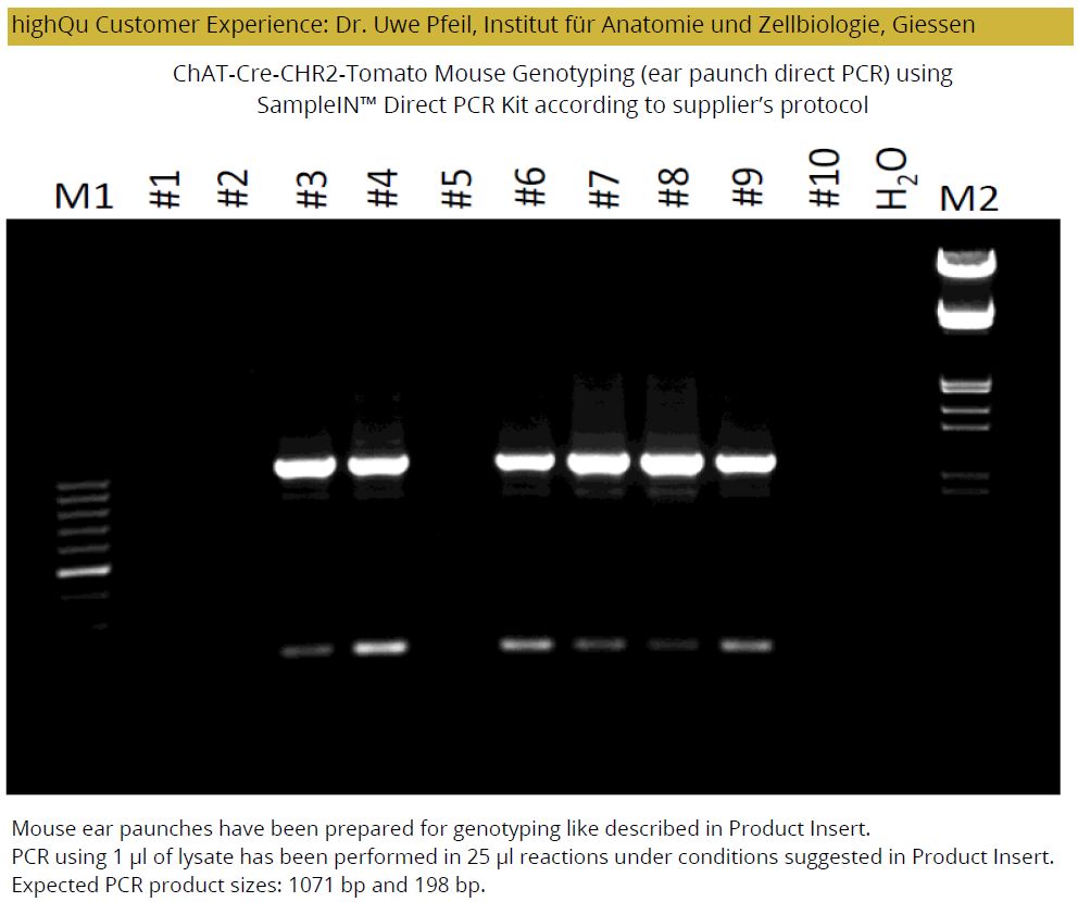 SampleIN™ Direct PCR Kit